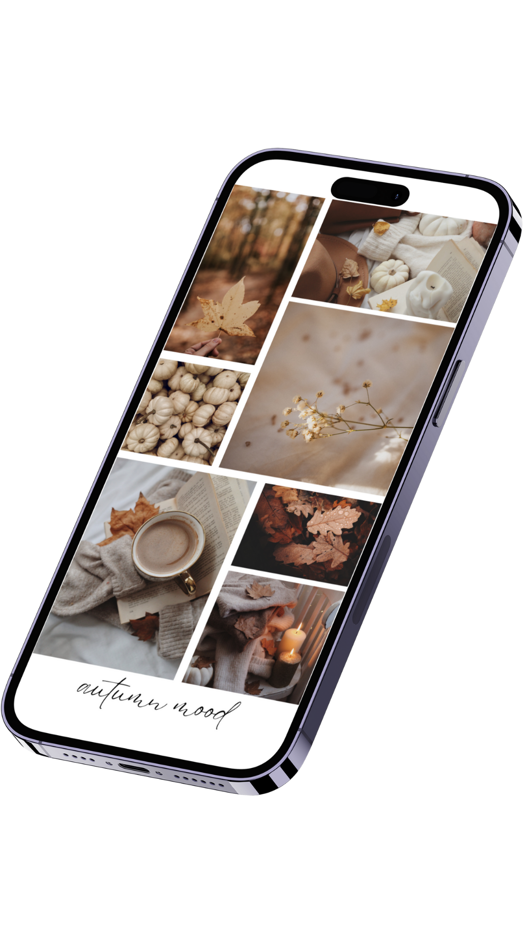 Instagram, Facebook and Snapchat Story Templates: Bundle of 5/15/30 templates